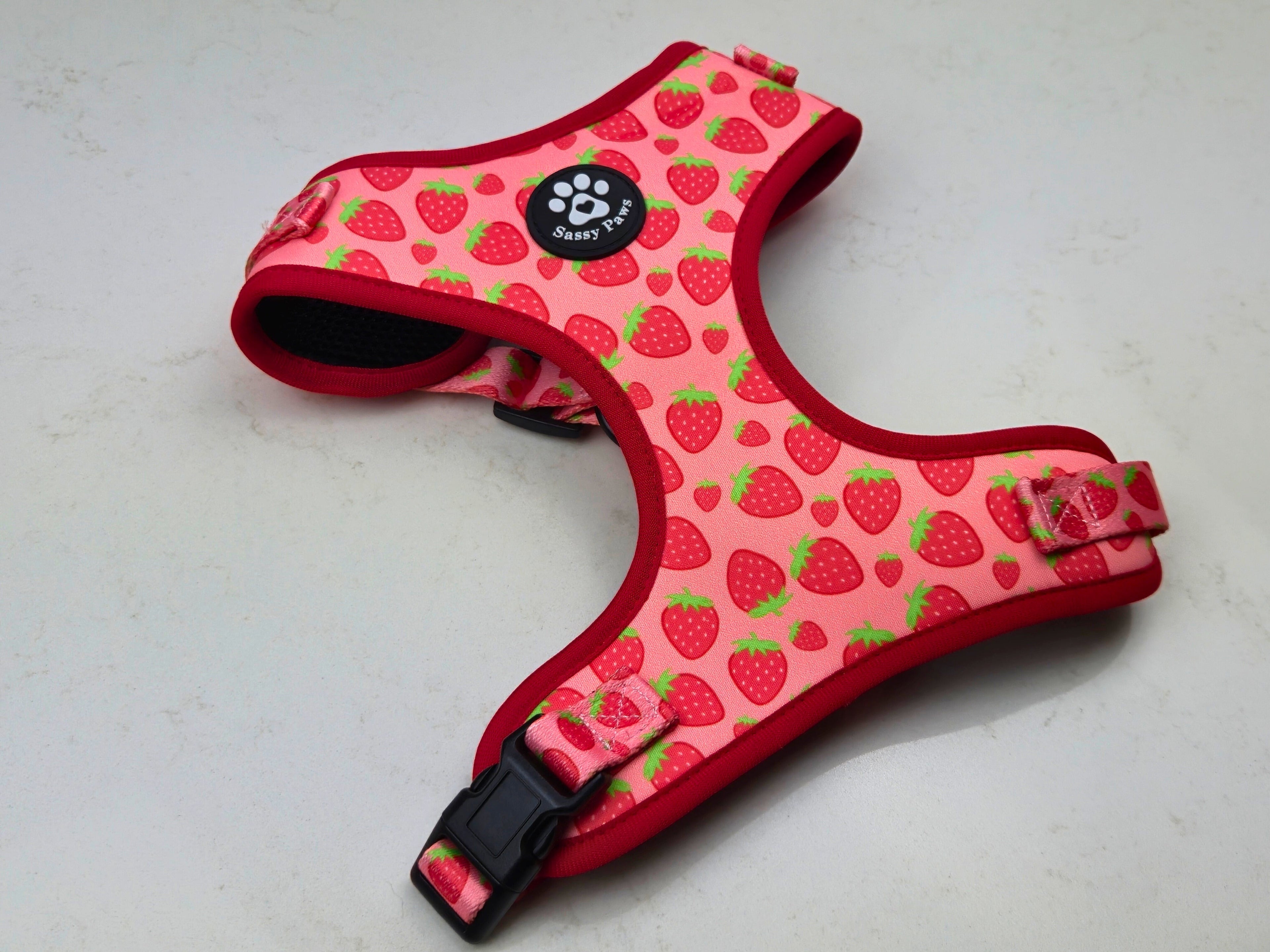 Adjustable Dog Harness - Strawberry Field
