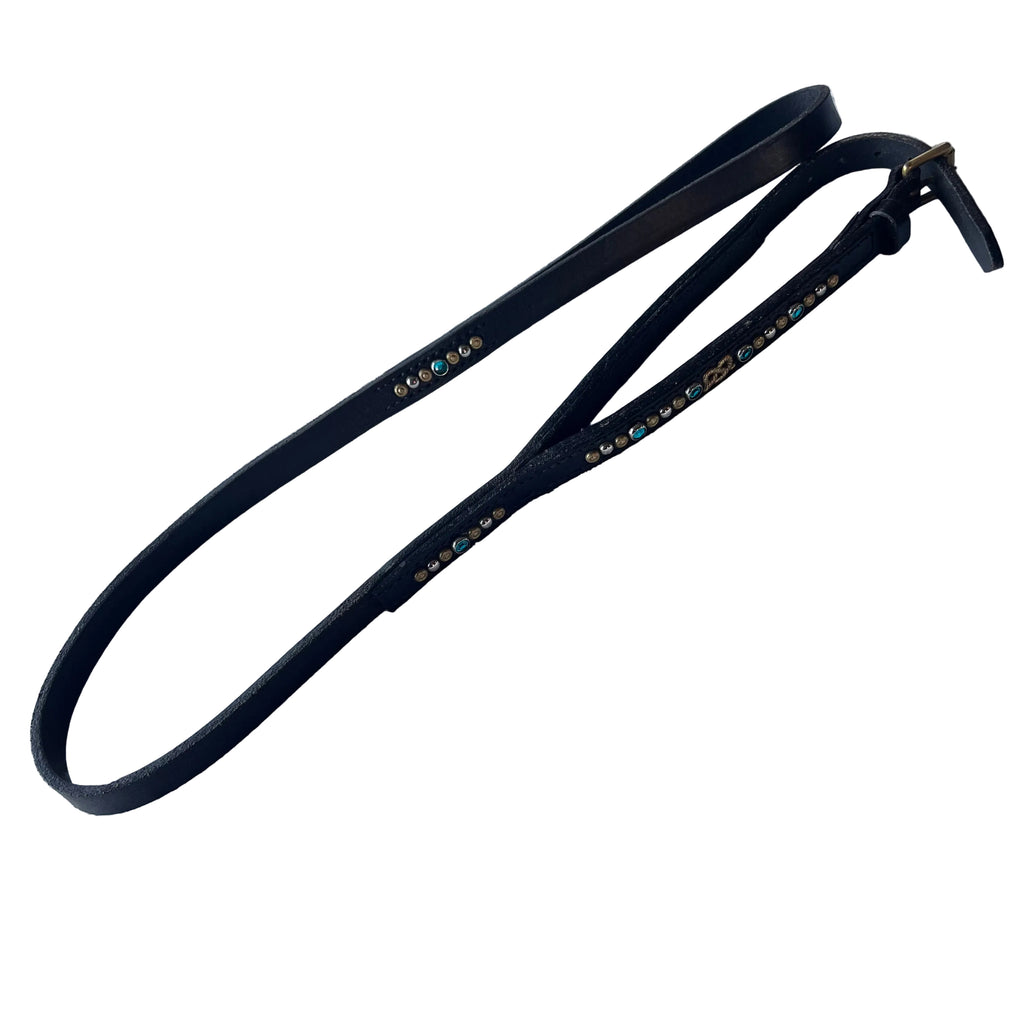 Pre-Loved AE Collar & Leash All-in-One Set (30–38cm)