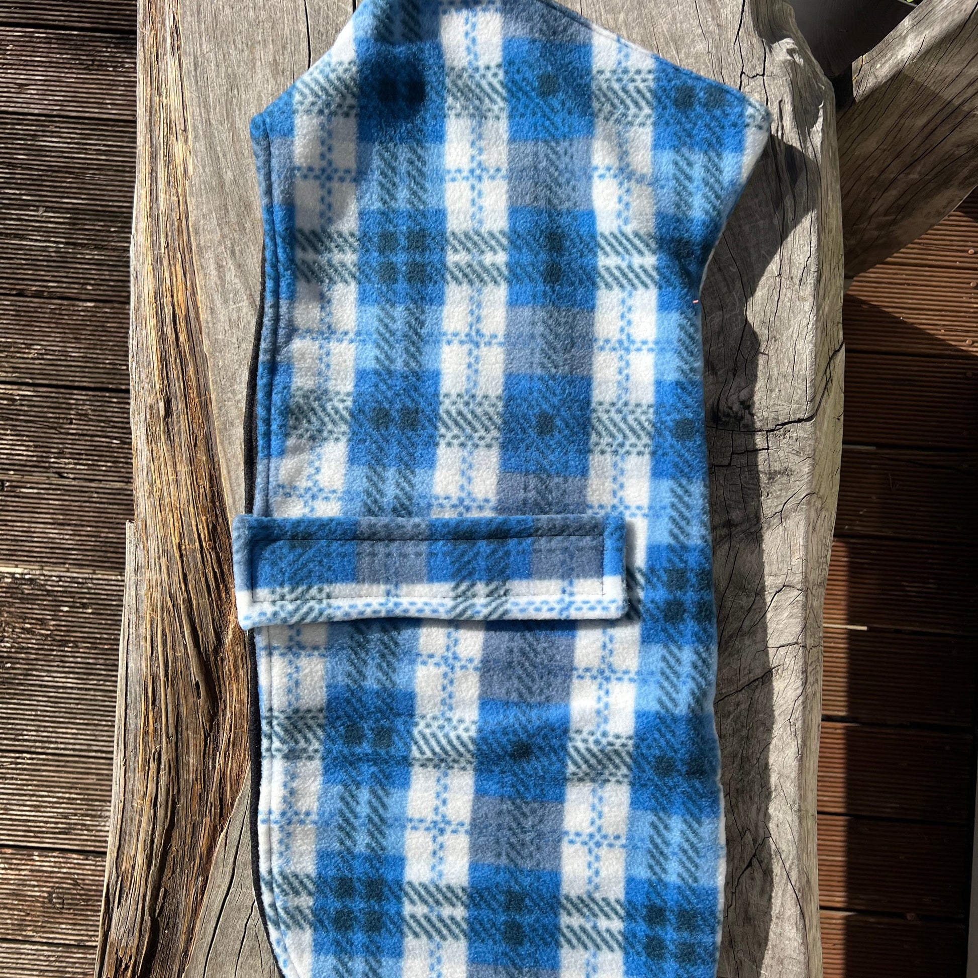 Staffy, staffie, Staffordshire bull terrier, dog, dogs, dog lovers, show dogs, SBT, Show Collar, Staffie, snuggie coats