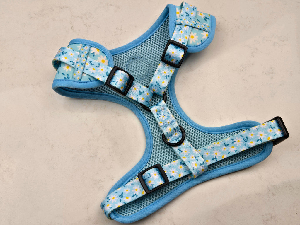 Adjustable Dog Harness - Daisy Meadow