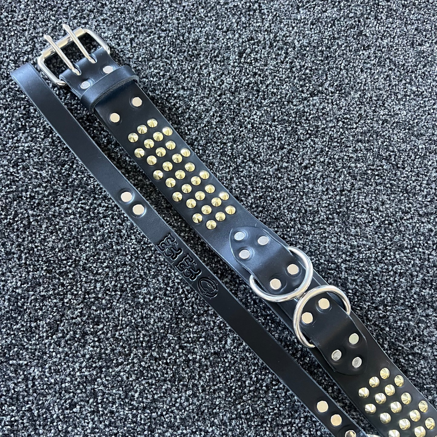 Black leather dog collar with gold studs on a textured black background