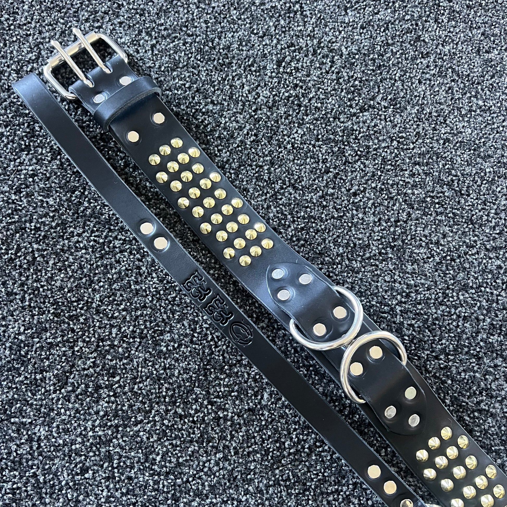 Black leather dog collar with gold studs on a textured black background