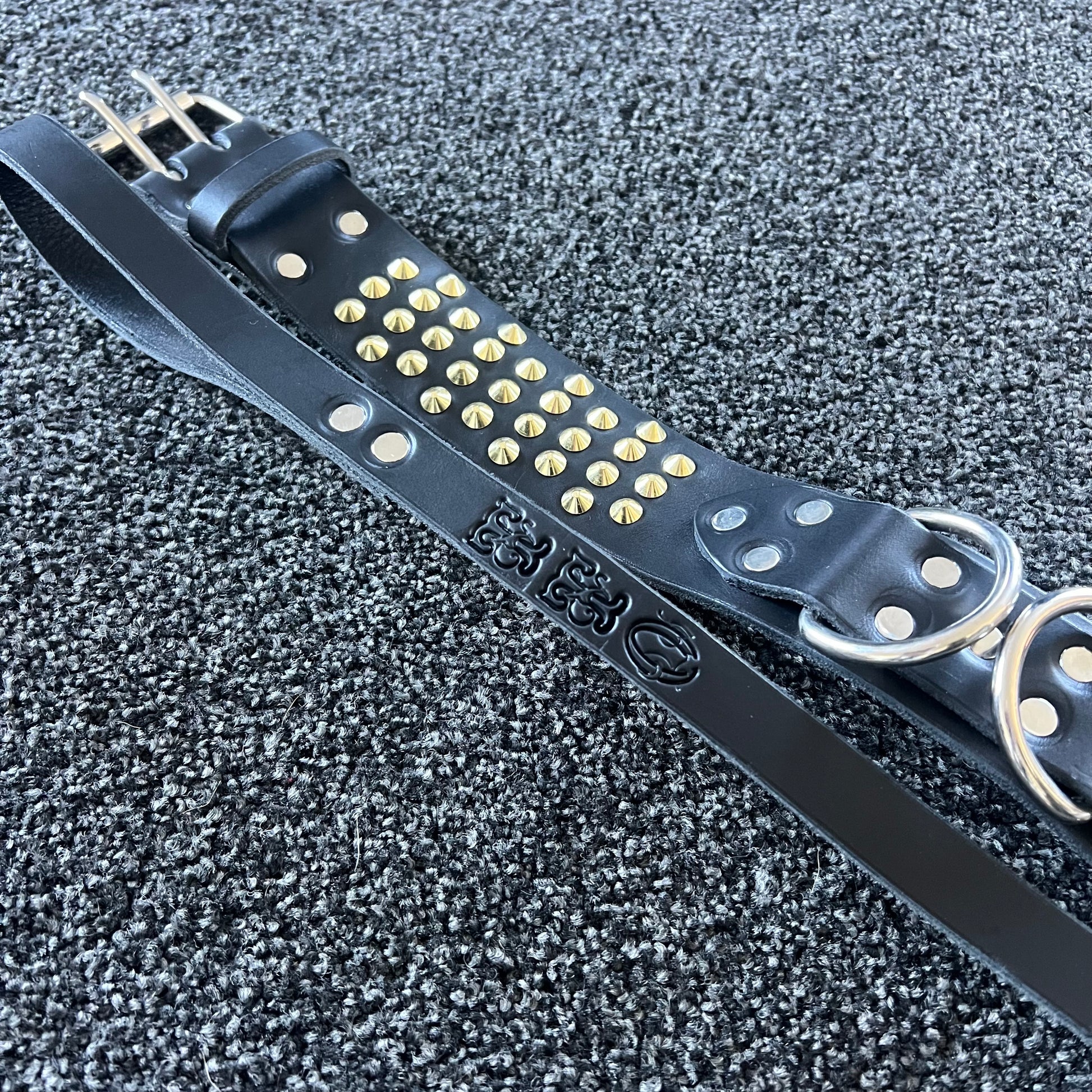 Black leather dog collar with gold studs on a textured gray background
