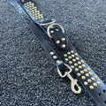 Black leather dog collar with gold studs on a textured black background