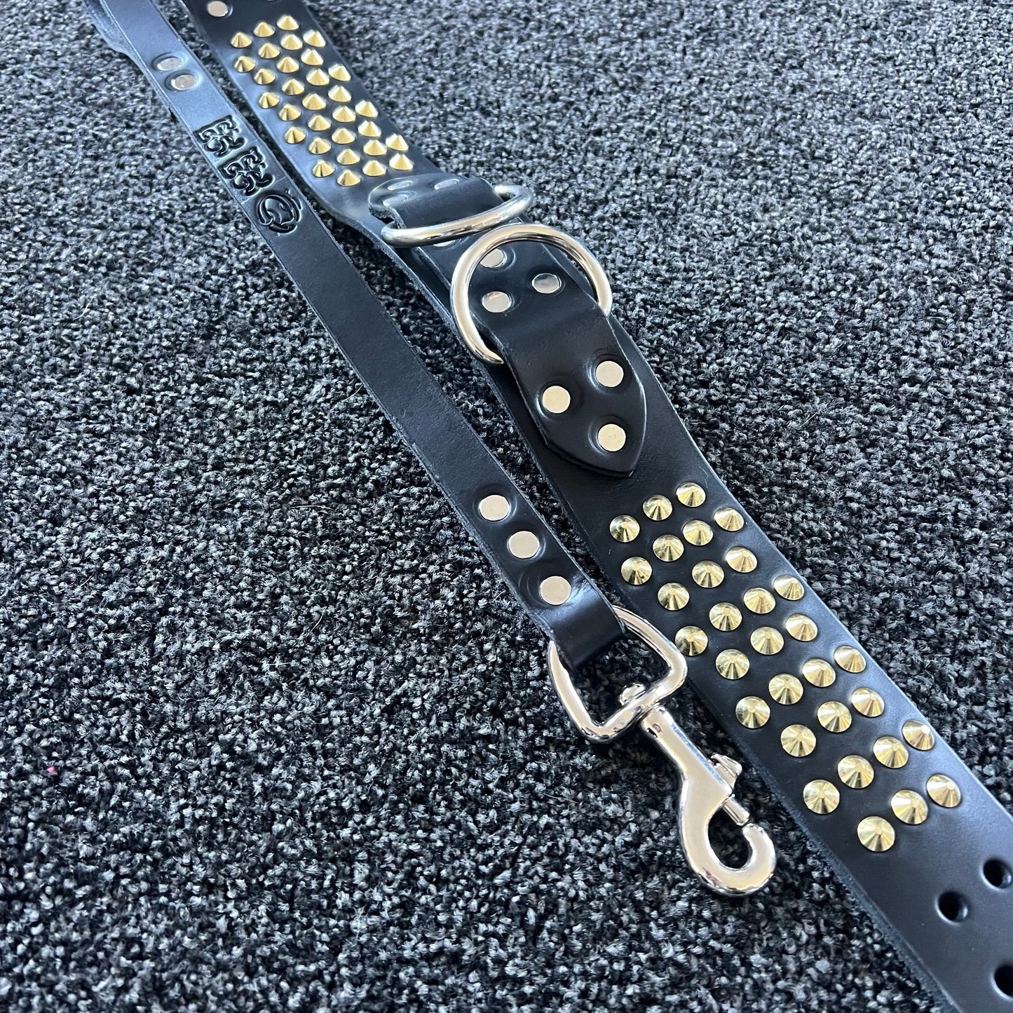 Black leather dog collar with gold studs on a textured black background