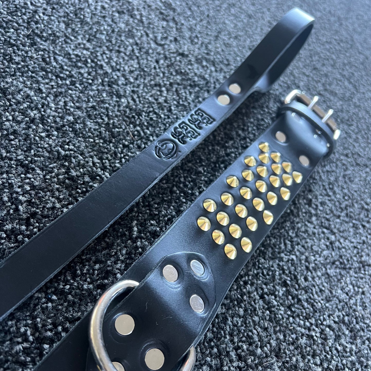 Black leather dog collar with gold studs on a textured gray surface