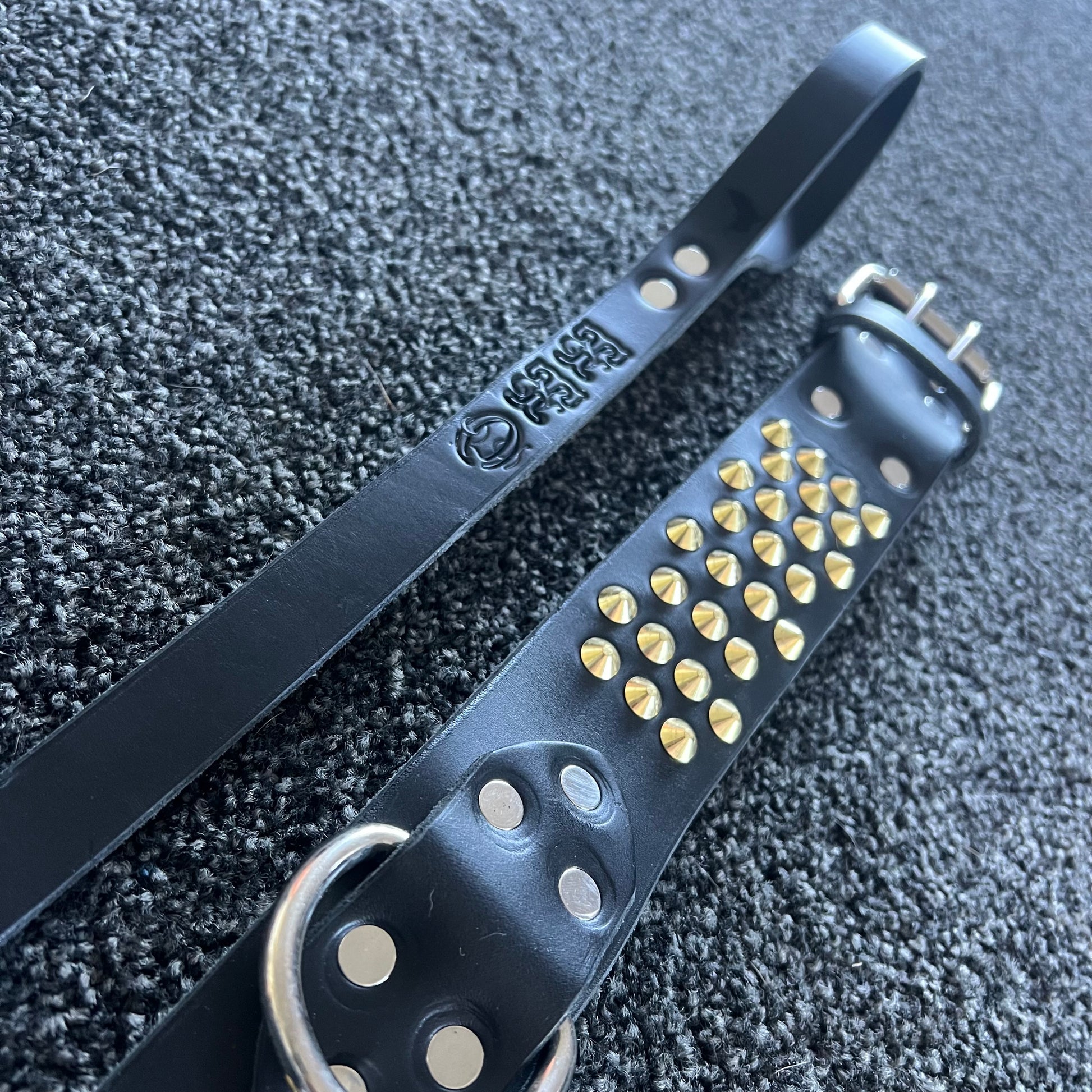Black leather dog collar with gold studs on a textured gray surface