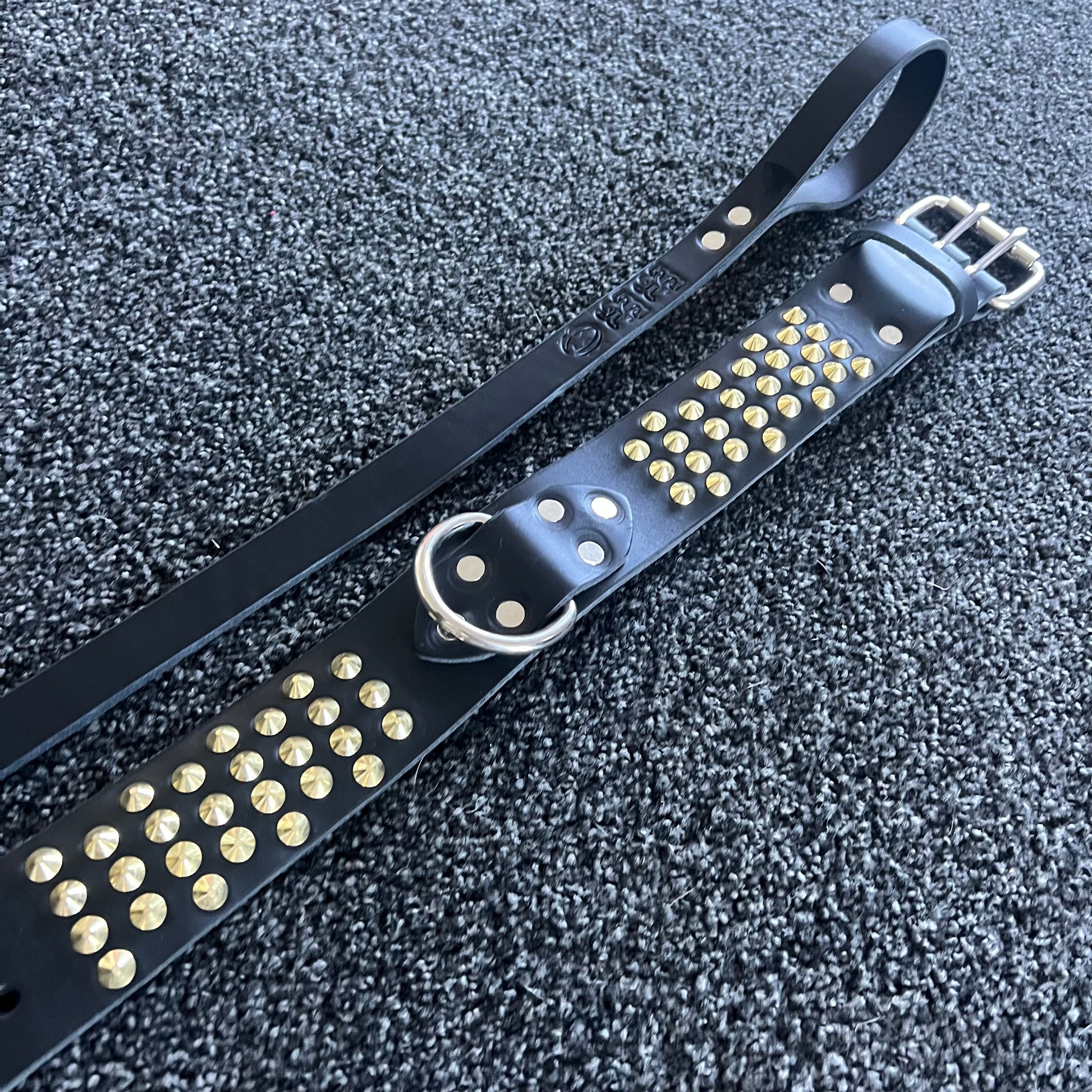 Black leather dog collar with gold studs on a textured gray surface