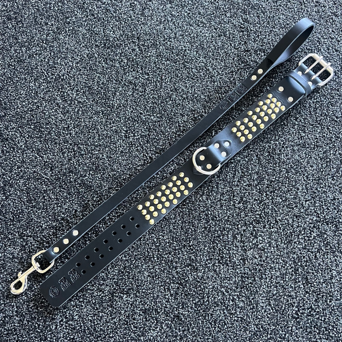 Black leather dog collar with gold studs on a textured black background