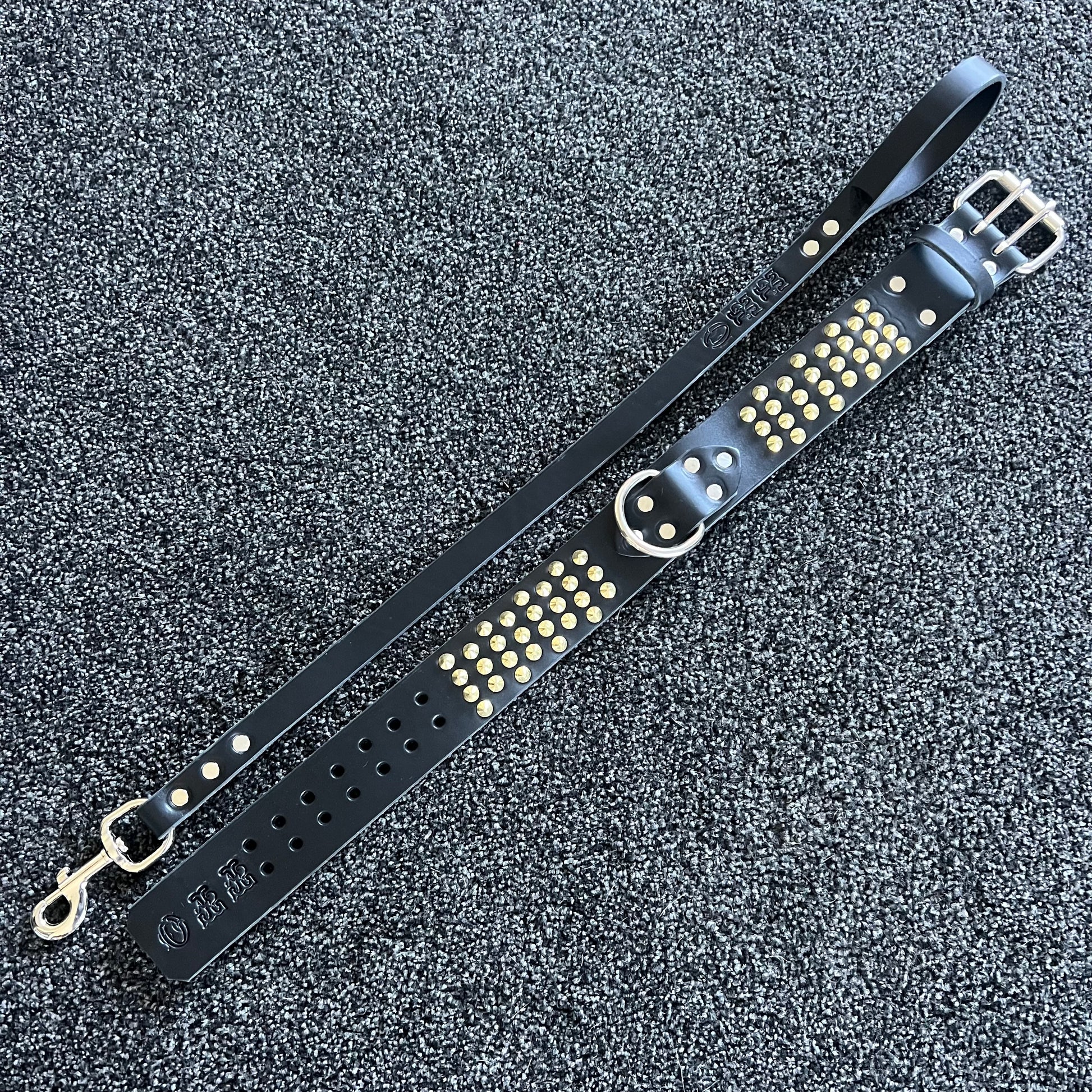 Black leather dog collar with gold studs on a textured black background