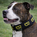 staffordshire bull terrier wearing a black collar with green patterns on a grassy background