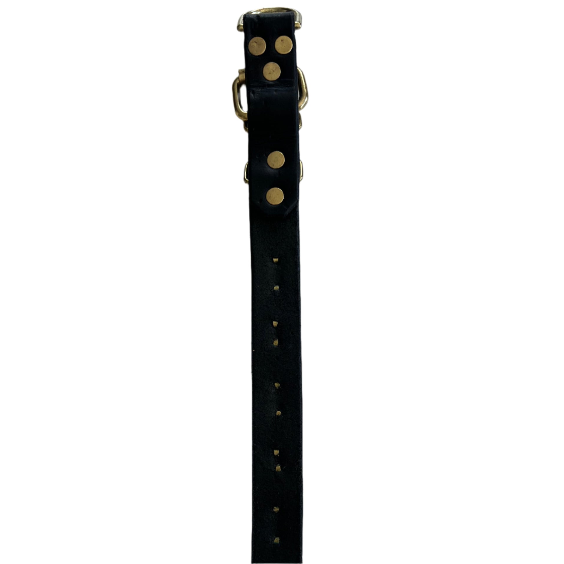 Staffy, Staffordshire Bull Terrier, SBT, Show Collar, Staffie, Leather Collar