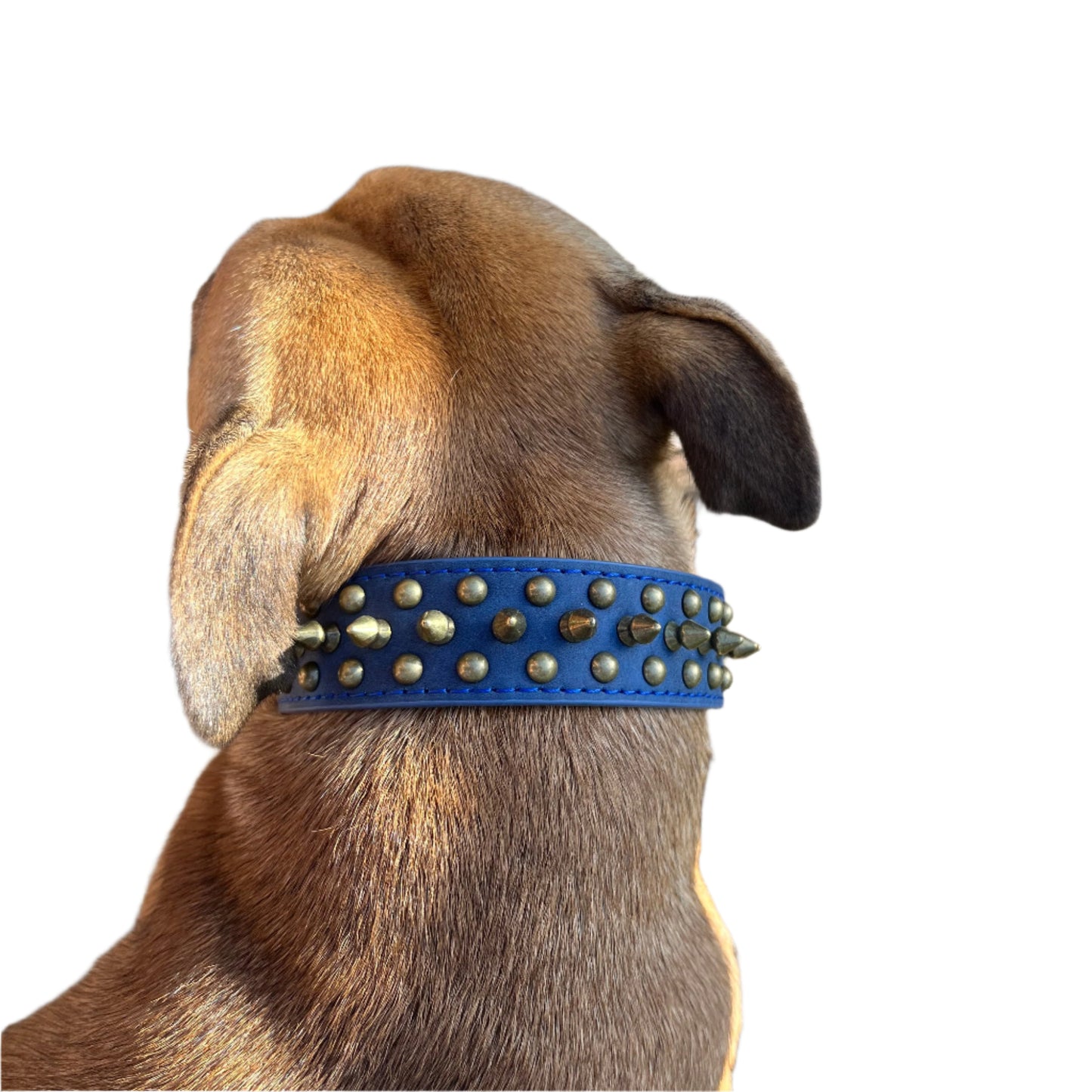 Large Dog Breeds, Leather Collar, Mastiff, Rottweiler, German Shepherd Leather Collar