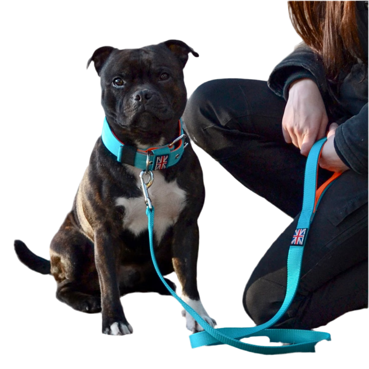 Staffy, Staffordshire Bull Terrier, SBT, Show Collar, Staffie, Nylon Collar