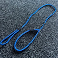 Blue dog leash with black clips on a textured gray surface