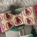 Staffy, Staffordshire Bull Terrier, SBT, Show Collar, Staffie, Stafford show ring armband, Stafford show ring clip