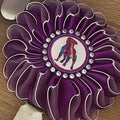 Staffy, Staffordshire Bull Terrier, SBT, Show Collar, Staffie, Stafford show ring armband, Stafford show ring clip