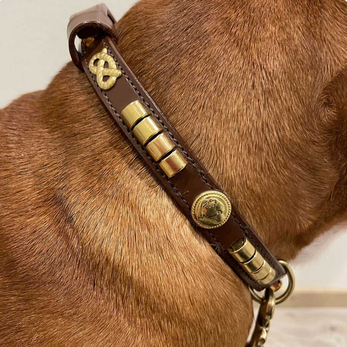 Staffy, staffie, Staffordshire bull terrier, dog, dogs, dog lovers, show dogs, SBT, Show Collar, Staffie, staffy leather show collar set