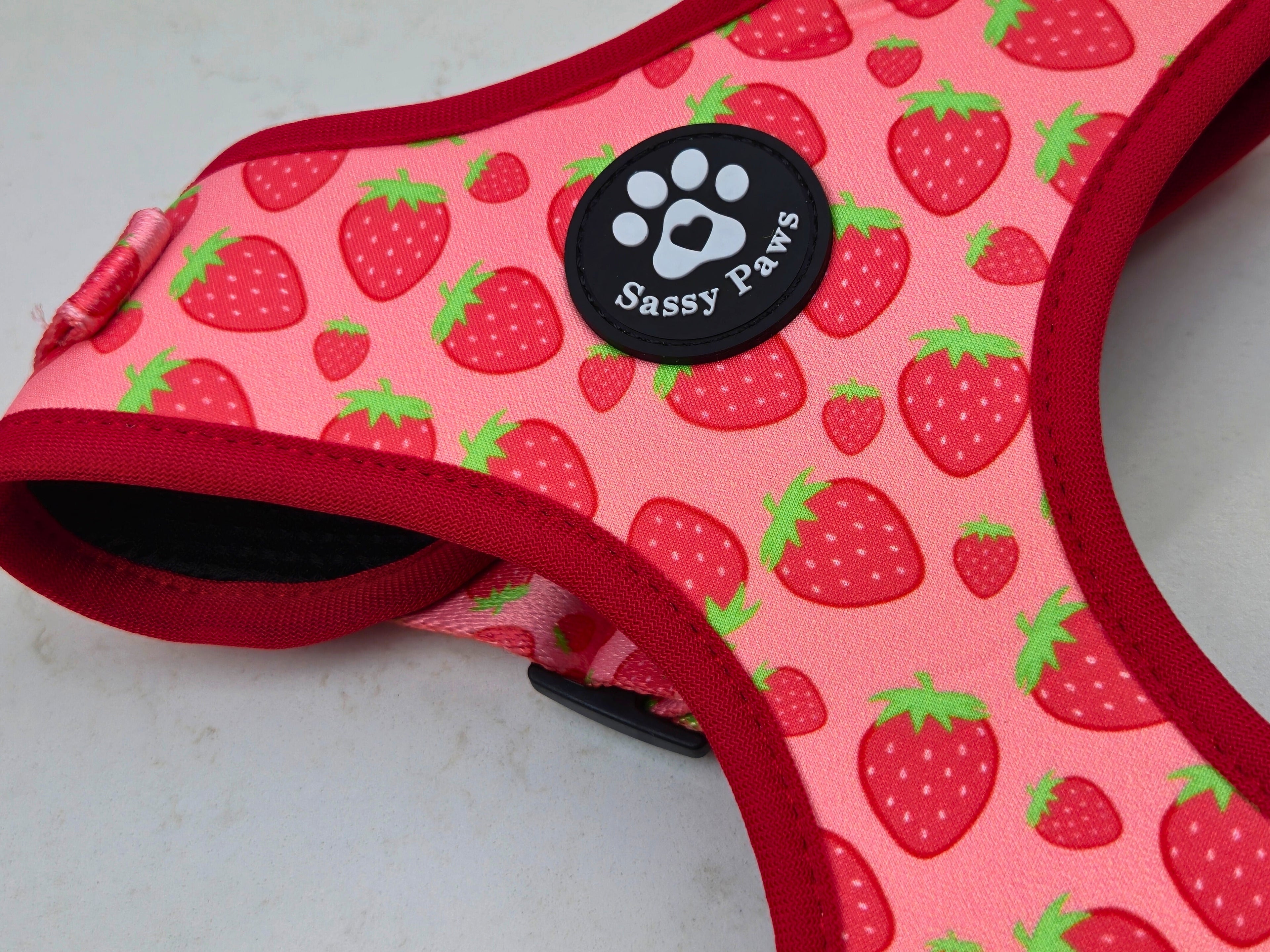 Adjustable Dog Harness - Strawberry Field