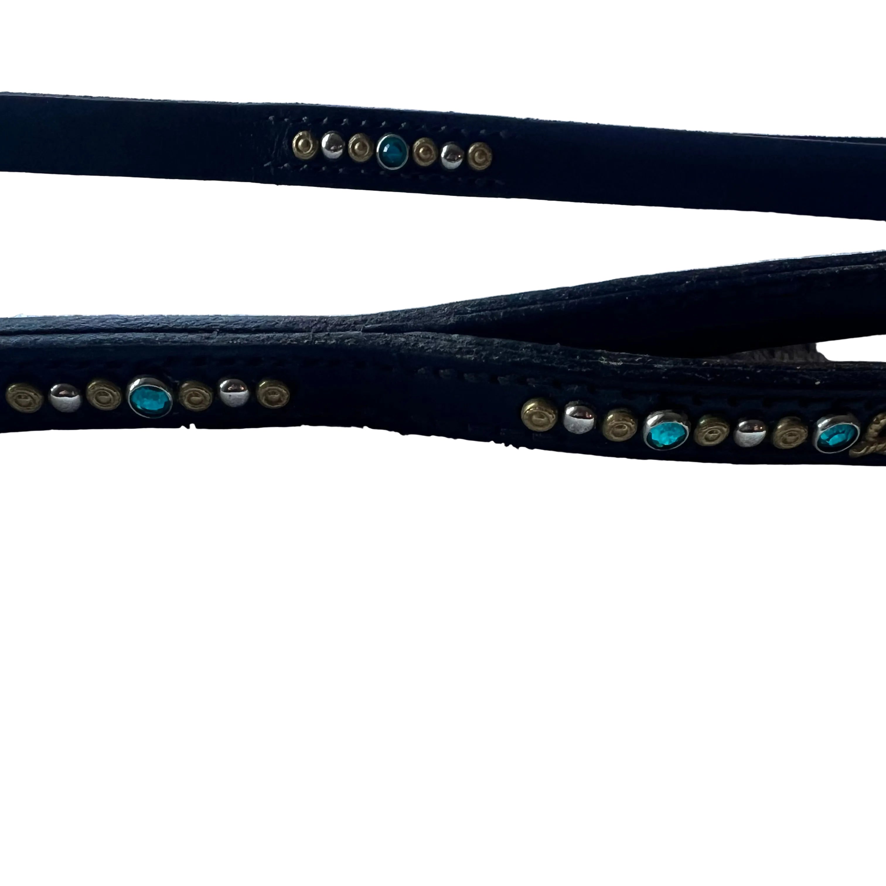 Pre-Loved AE Collar & Leash All-in-One Set (30–38cm)