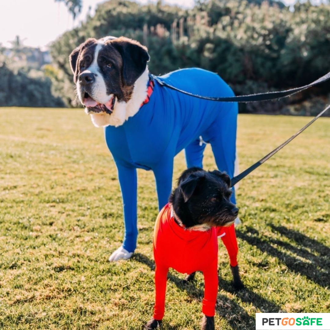 Dog Onesie for After Surgery Pet Surgical Recovery Suit