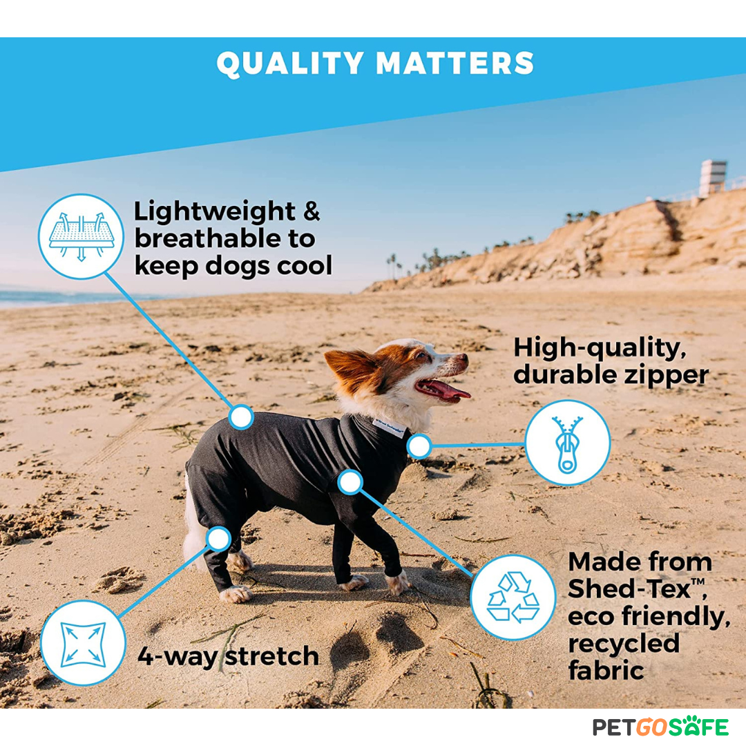 Dog Onesie for After Surgery Pet Surgical Recovery Suit