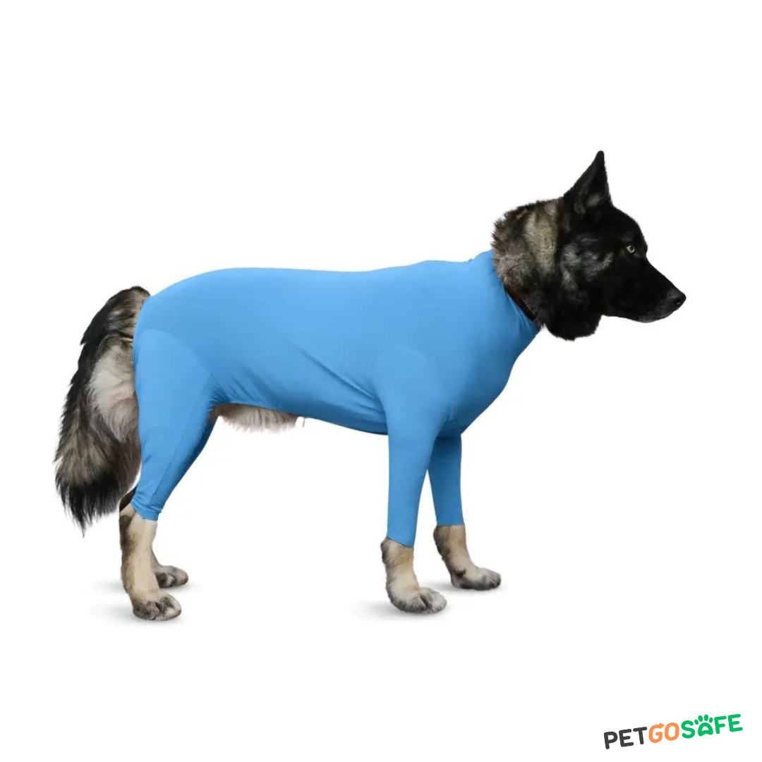 Dog Onesie for After Surgery Pet Surgical Recovery Suit