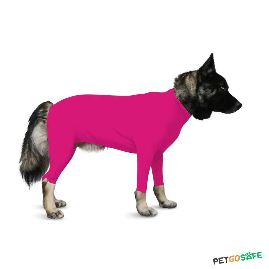 Dog Onesie for After Surgery Pet Surgical Recovery Suit