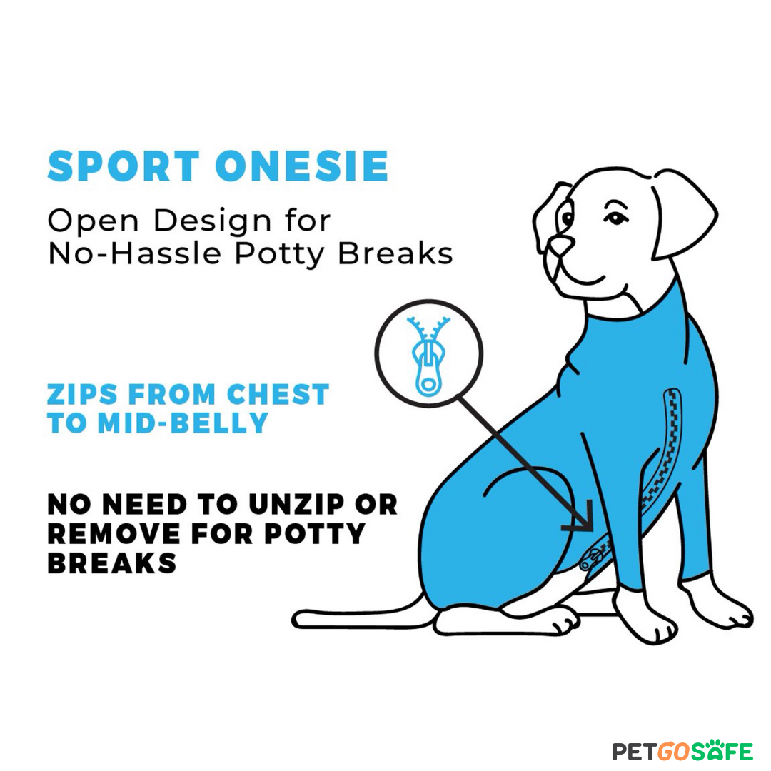 Dog Onesie for After Surgery Pet Surgical Recovery Suit