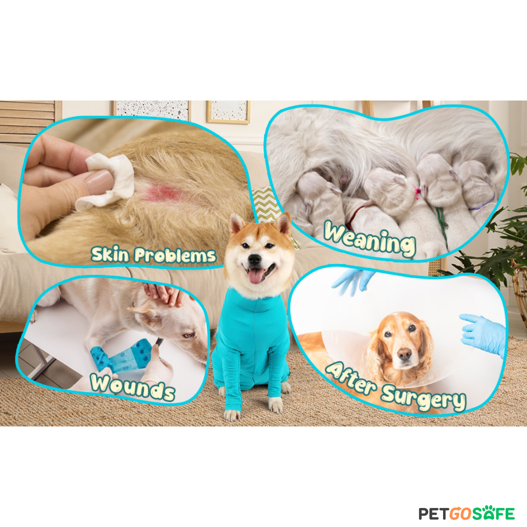Dog Onesie for After Surgery Pet Surgical Recovery Suit