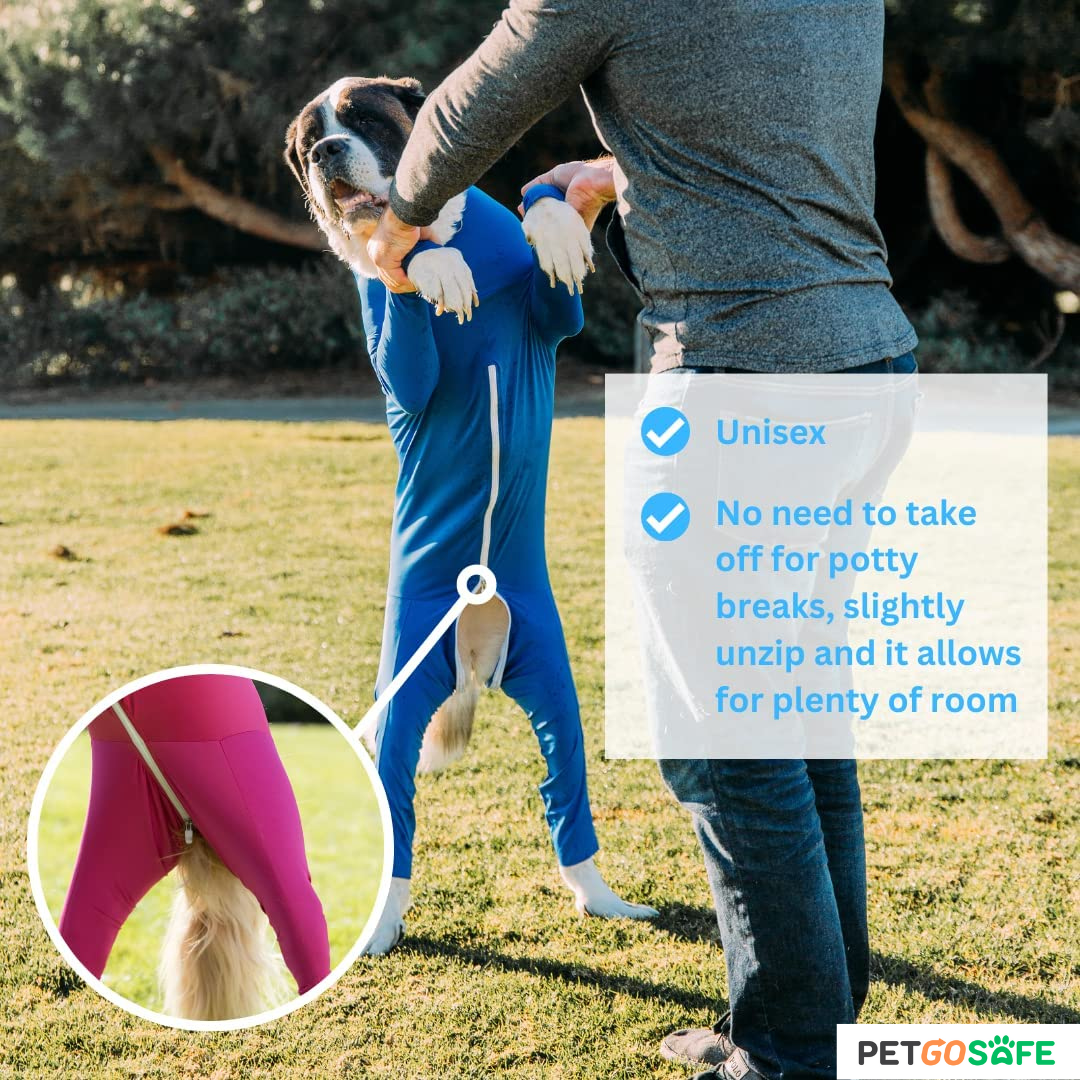 Dog Onesie for After Surgery Pet Surgical Recovery Suit