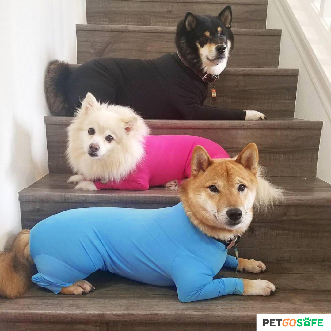 Dog Onesie for After Surgery Pet Surgical Recovery Suit