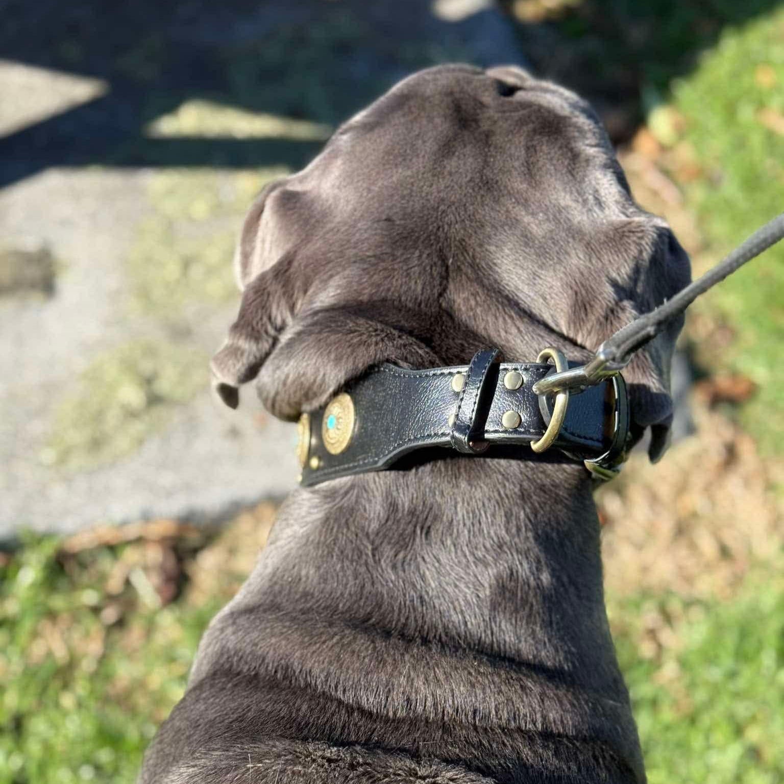 Large Dog Breeds, Leather Collar, Mastiff, Rottweiler, German Shepherd Leather Collar