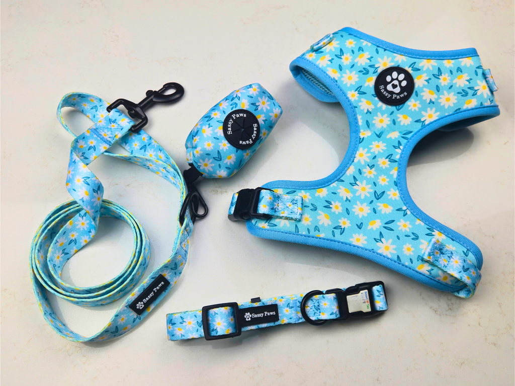 Dog Harness Bundle Set - Daisy Meadow