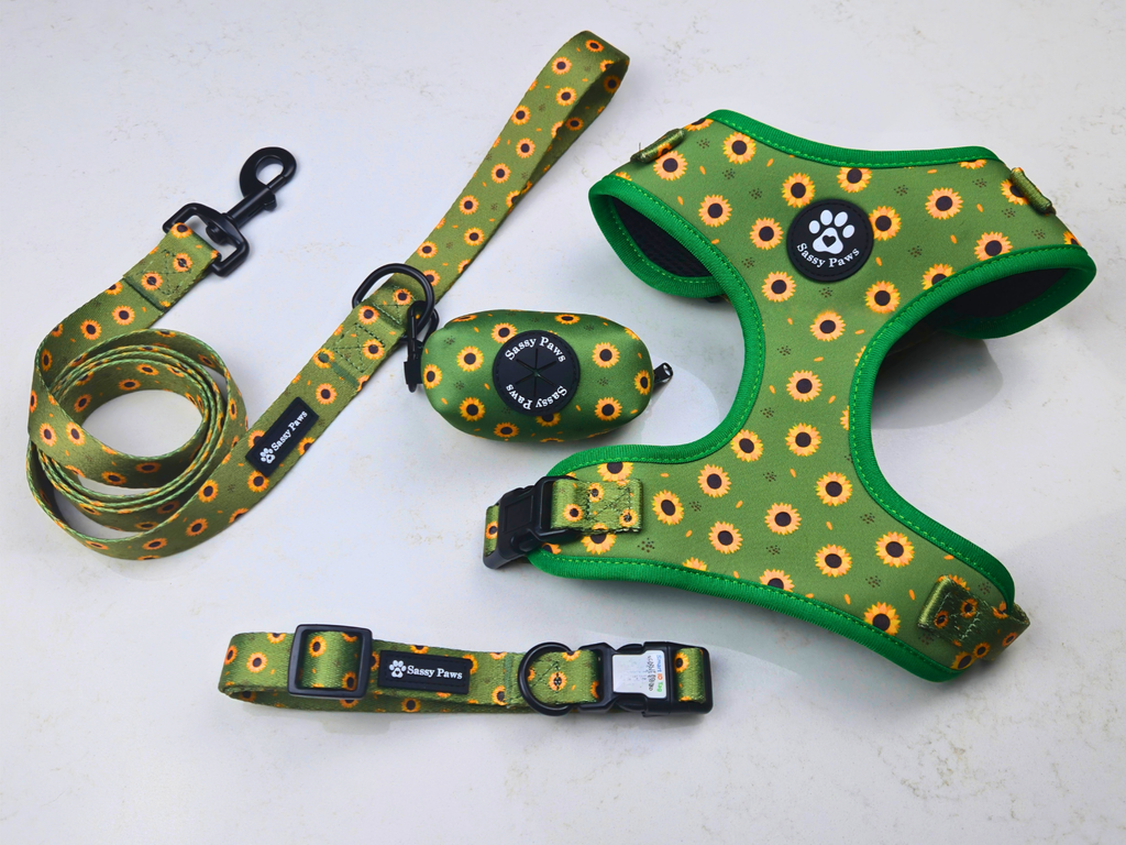 Dog Harness Bundle Set - Sunflower Bloom