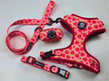 Dog Harness Bundle Set - Strawberry Field