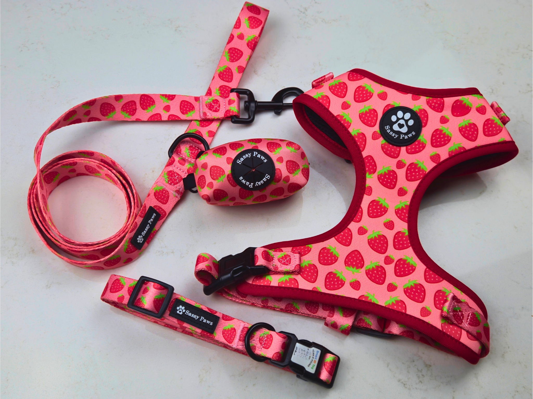 Dog Harness Bundle Set - Strawberry Field