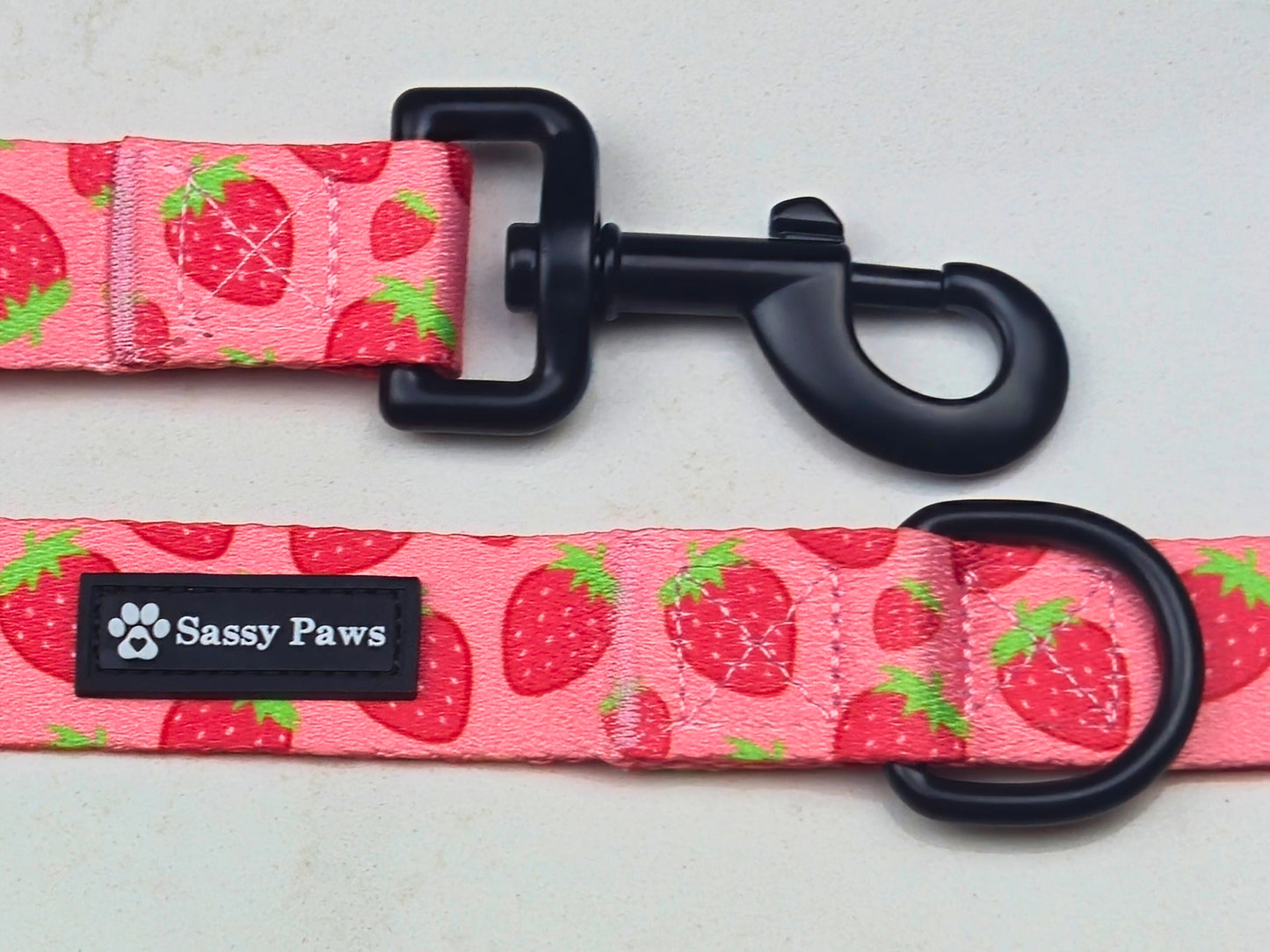 Dog Harness Bundle Set - Strawberry Field