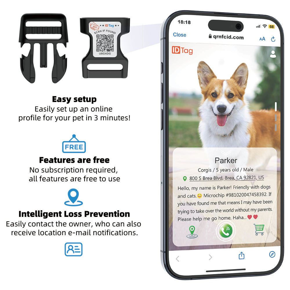 Dog Collar - Easy Scan QR ID - Strawberry Field