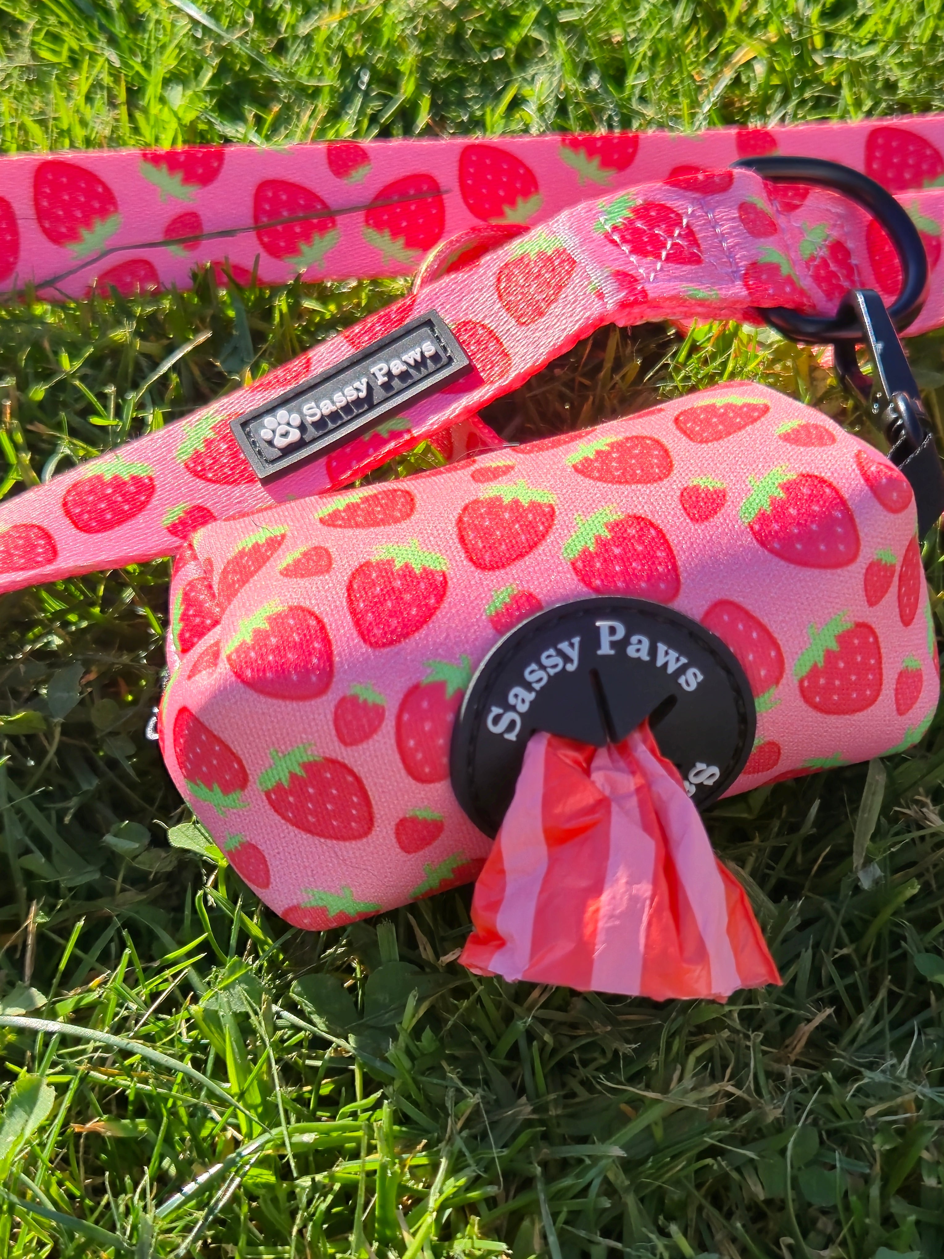 Pick Up Bag Holder - Strawberry Field
