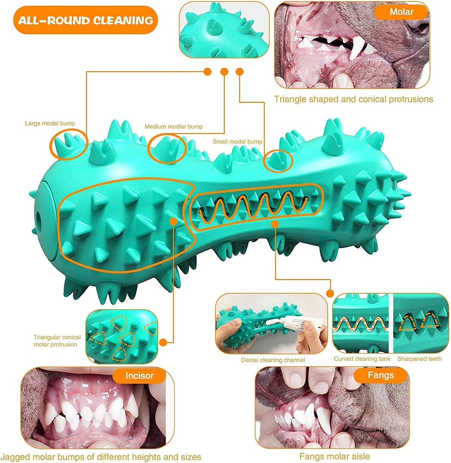 Dog Chew Toy - Squeaky Toothbrush Durable Rubber Toys for Teeth Cleaning