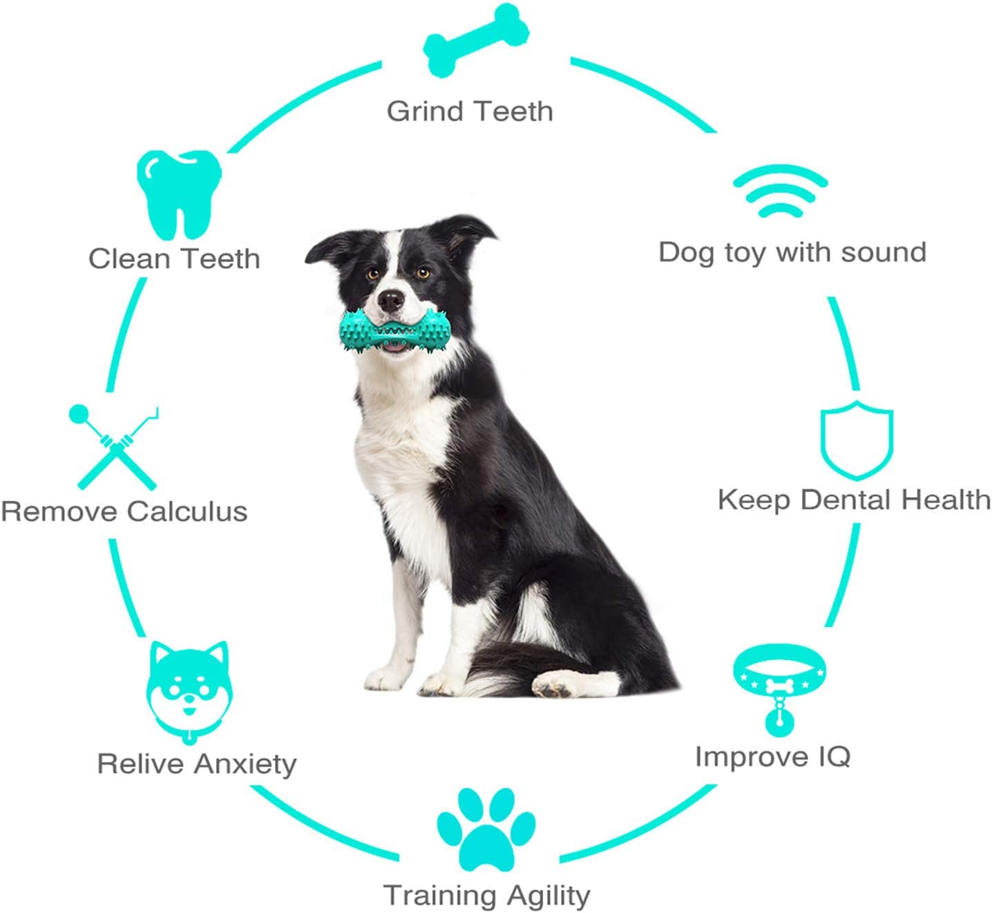 Dog Chew Toy - Squeaky Toothbrush Durable Rubber Toys for Teeth Cleaning