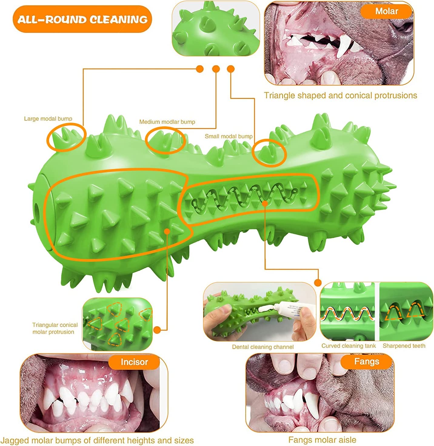 Dog Chew Toy - Squeaky Toothbrush Durable Rubber Toys for Teeth Cleaning