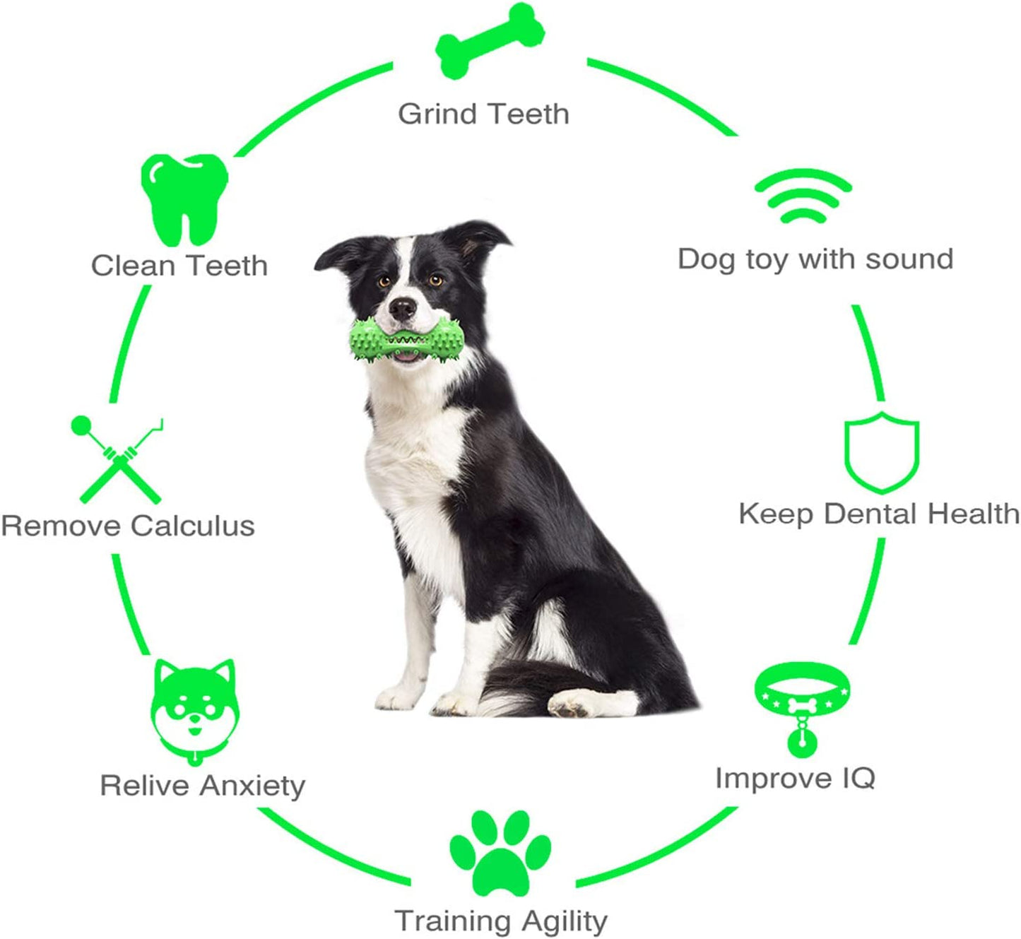 Dog Chew Toy - Squeaky Toothbrush Durable Rubber Toys for Teeth Cleaning