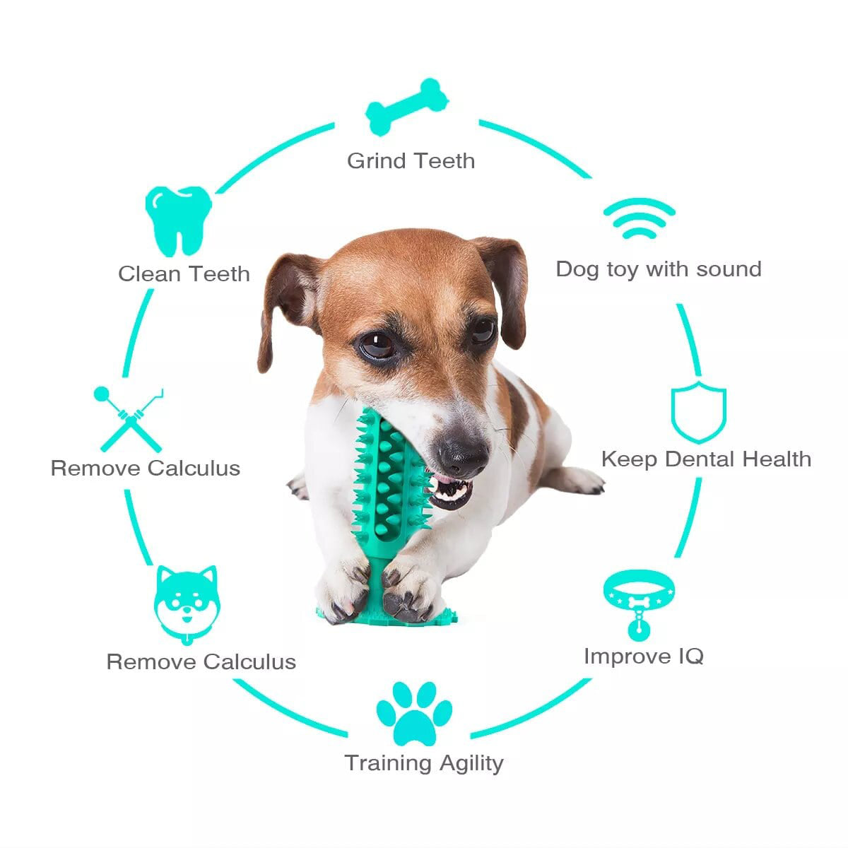 Dog Teeth Cleaning Squeaking Molar Rod Play Bite Toothbrush Toy