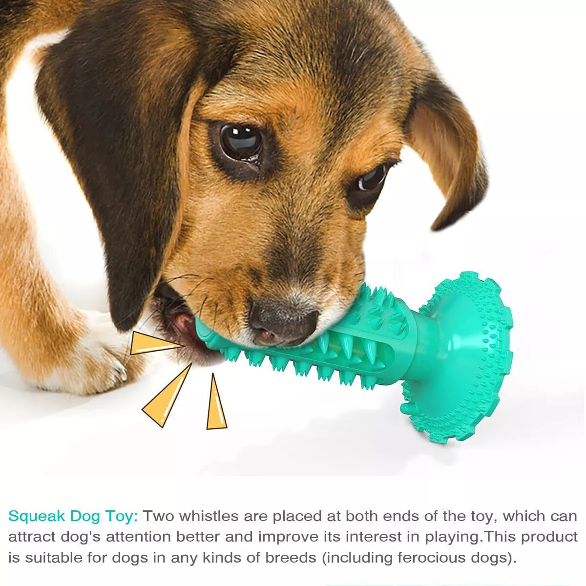 Dog Teeth Cleaning Squeaking Molar Rod Play Bite Toothbrush Toy