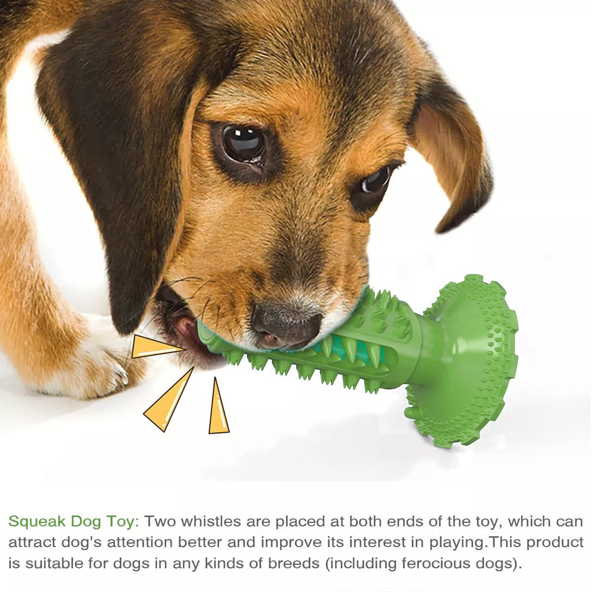 Dog Teeth Cleaning Squeaking Molar Rod Play Bite Toothbrush Toy