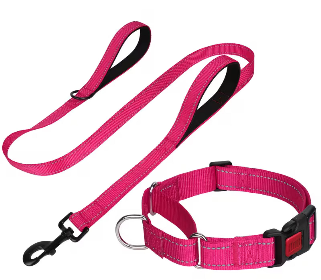 Puppy Pack Martingale Collar & Leash Bundle (10 set)– Breeder Edition