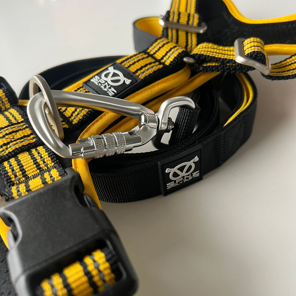 Close-up of a black and yellow safety harness with carabiner on a white background