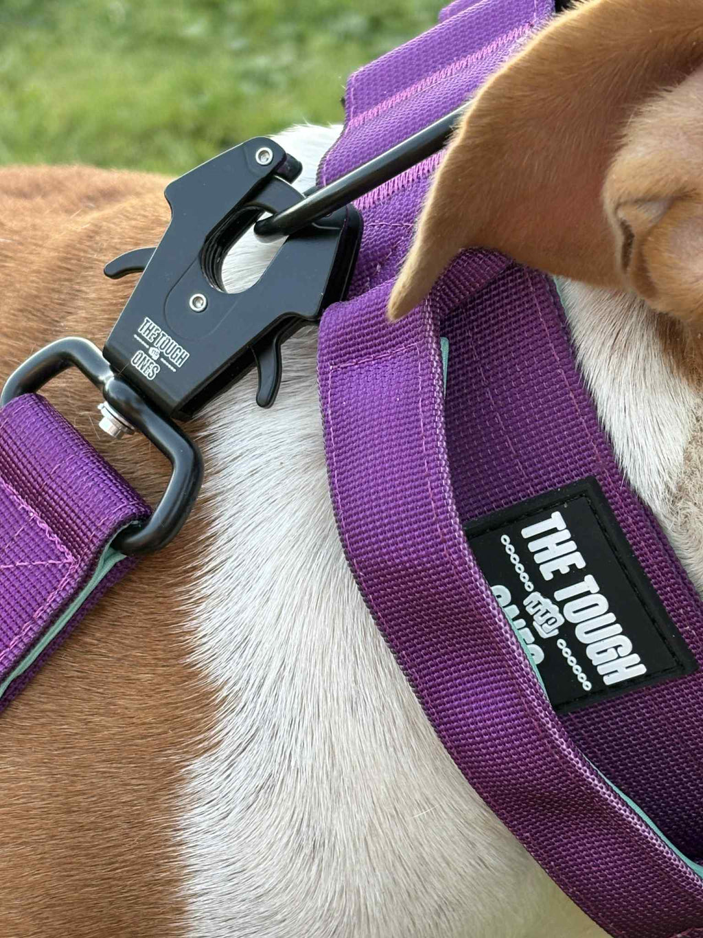 The Tough Ones™ Plum & Mint Tactical Dog Leash